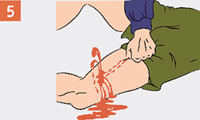 http://img.rg.ru/i/kniga241210/pomosh005.gif
