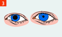http://img.rg.ru/i/kniga241210/pomosh013.gif