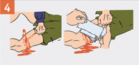 http://img.rg.ru/i/kniga241210/pomosh031.gif
