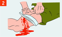 http://img.rg.ru/i/kniga241210/pomosh039.gif