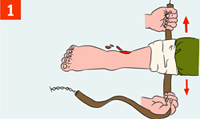 http://img.rg.ru/i/kniga241210/pomosh040.gif