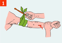 http://img.rg.ru/i/kniga241210/pomosh044.gif