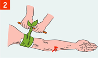 http://img.rg.ru/i/kniga241210/pomosh045.gif