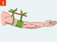 http://img.rg.ru/i/kniga241210/pomosh046.gif