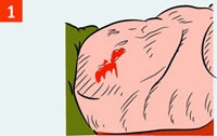 http://img.rg.ru/i/kniga241210/pomosh047.gif