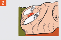 http://img.rg.ru/i/kniga241210/pomosh048.gif