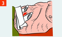 http://img.rg.ru/i/kniga241210/pomosh049.gif