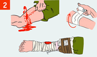 http://img.rg.ru/i/kniga241210/pomosh061.gif