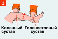 http://img.rg.ru/i/kniga241210/pomosh066.gif