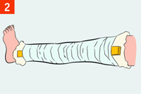 http://img.rg.ru/i/kniga241210/pomosh067.gif
