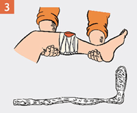 http://img.rg.ru/i/kniga241210/pomosh068.gif