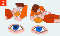 http://img.rg.ru/i/kniga241210/pomosh104.gif