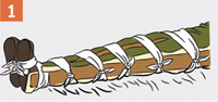 http://img.rg.ru/i/kniga241210/pomosh115.gif