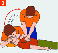 http://img.rg.ru/i/kniga241210/pomosh117.gif