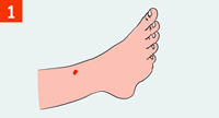 http://img.rg.ru/i/kniga241210/pomosh118.gif